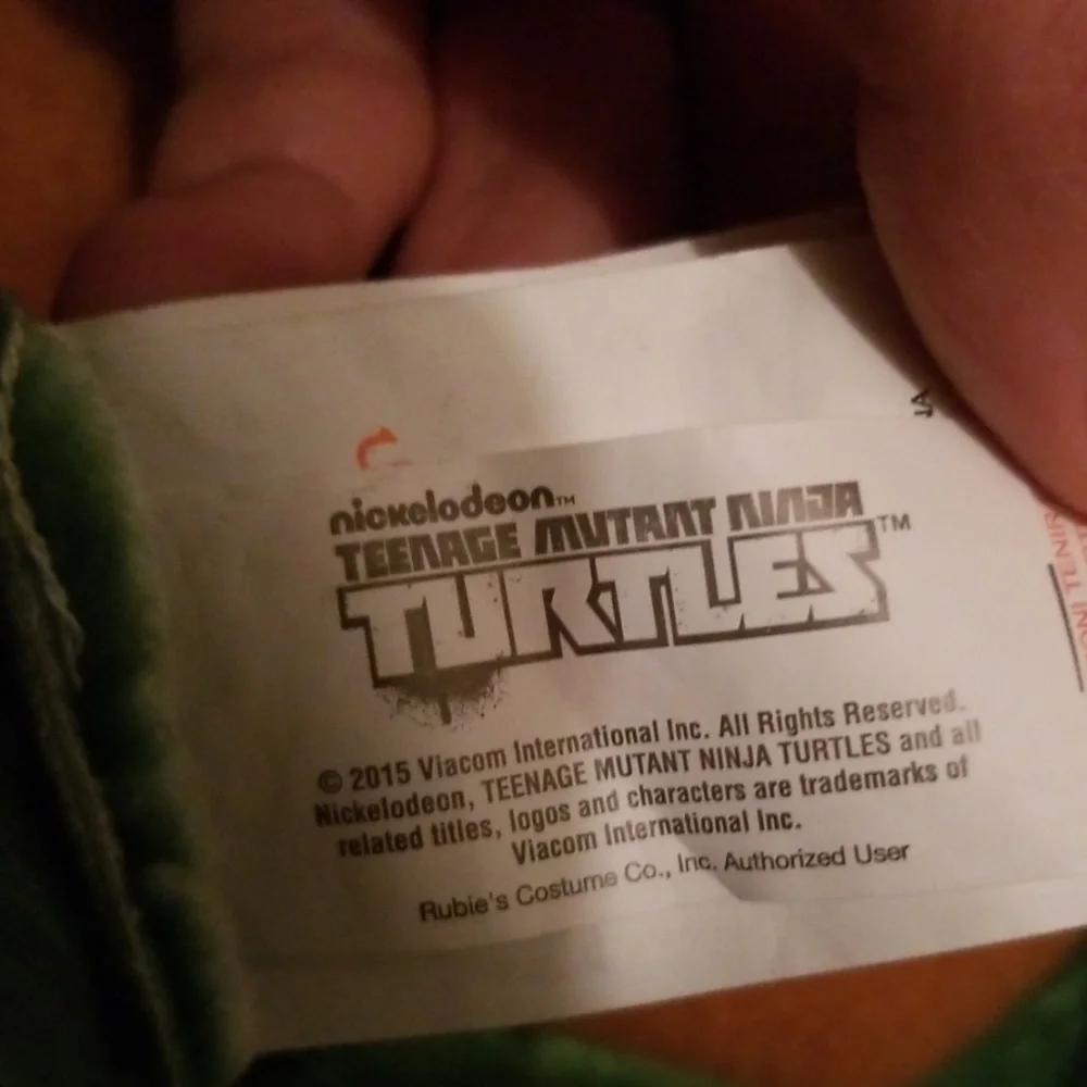 Teenage Mutant Ninja Turtle Leonardo
